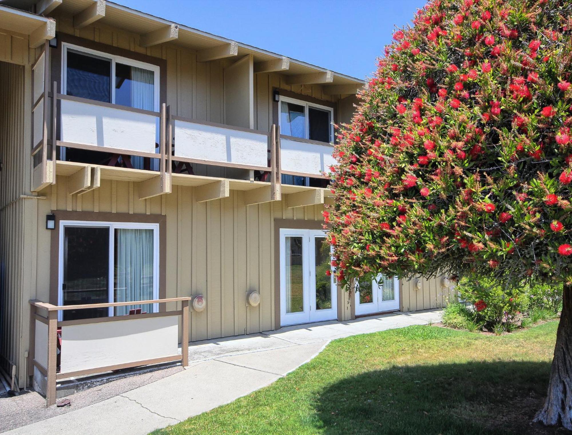 Silver Surf Motel San Simeon Exterior photo